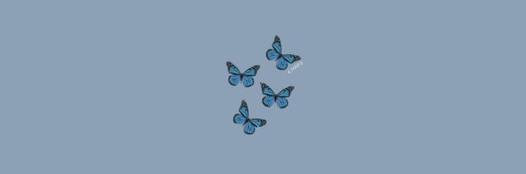 Sara71sh's profile banner image