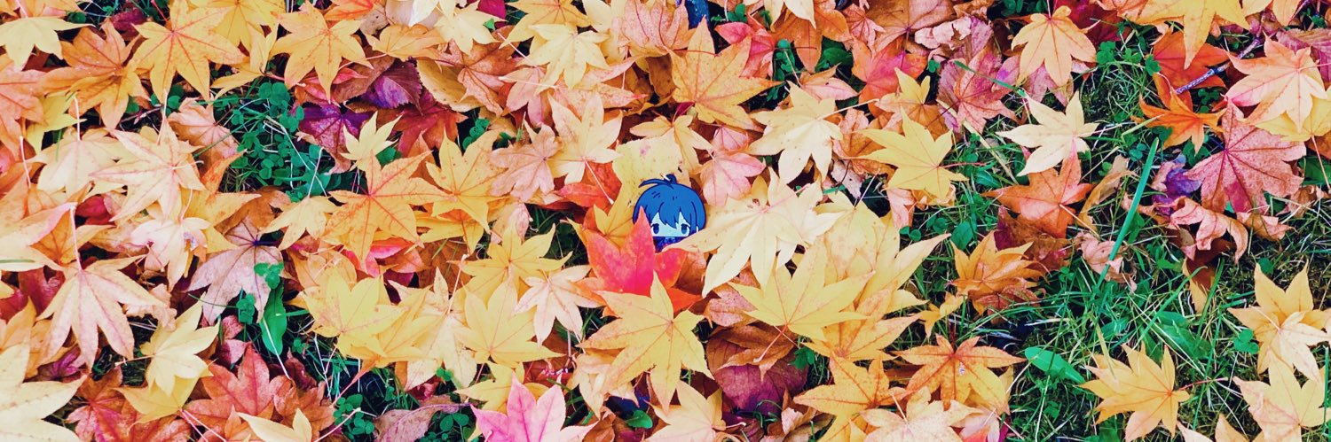 4/1🐟こえなまちゃん banner