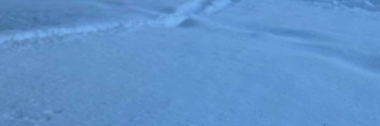 unknownpesiy's profile banner image