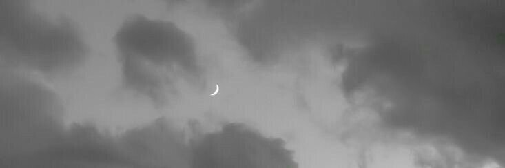 RAYAN_NYR's profile banner image