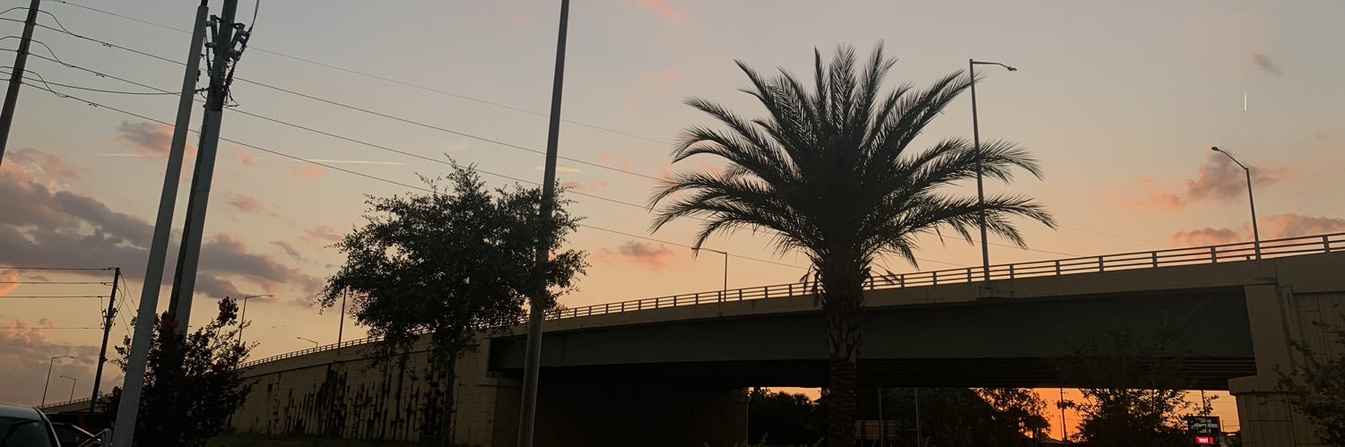 basicnic0le's profile banner image