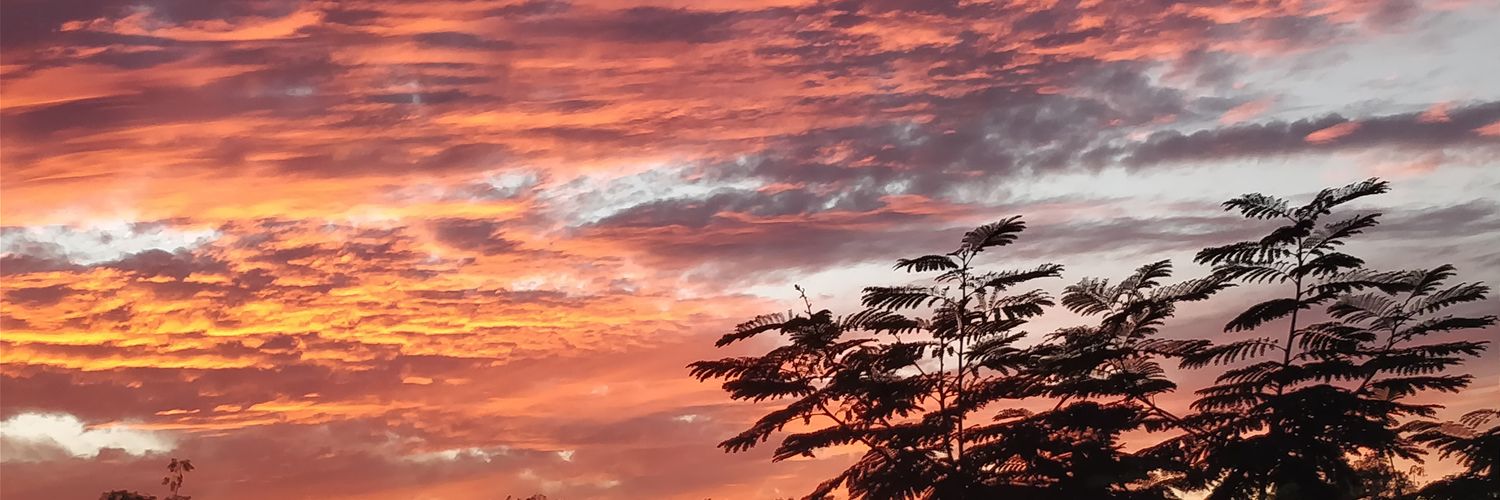 AlayK12's profile banner image