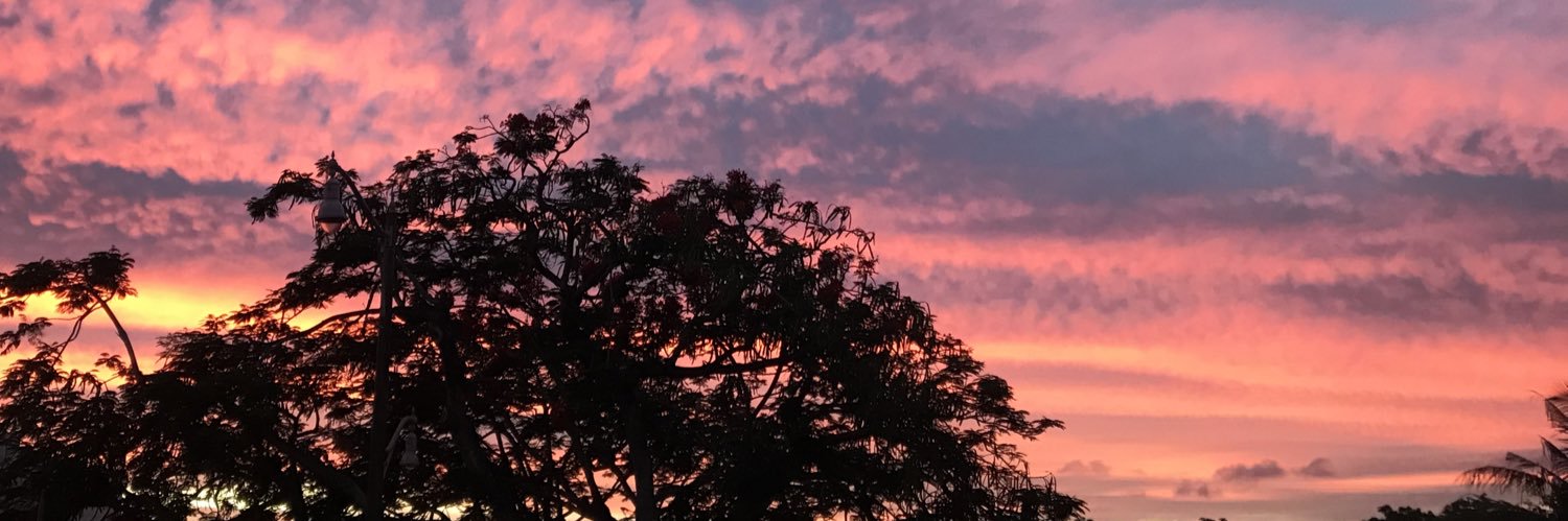 SianGreib6's profile banner image