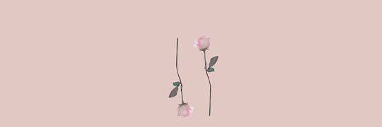 _DCCCXXV_'s profile banner image