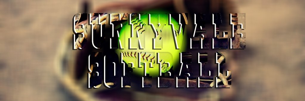 ValeSoftball's profile banner image