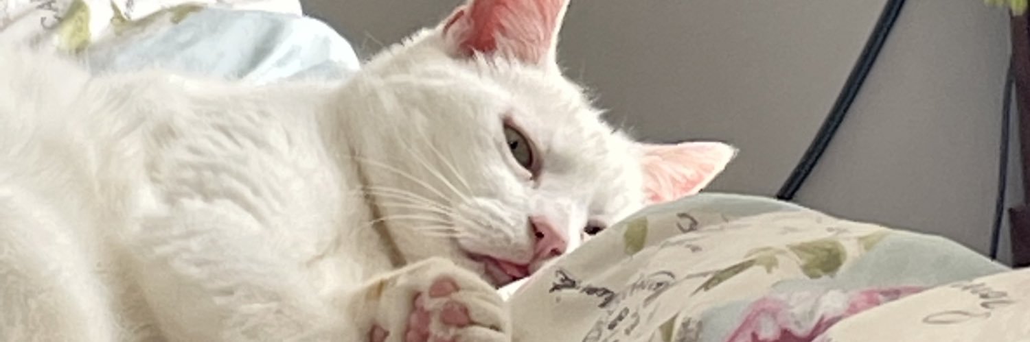 GarnhamKaty's profile banner image