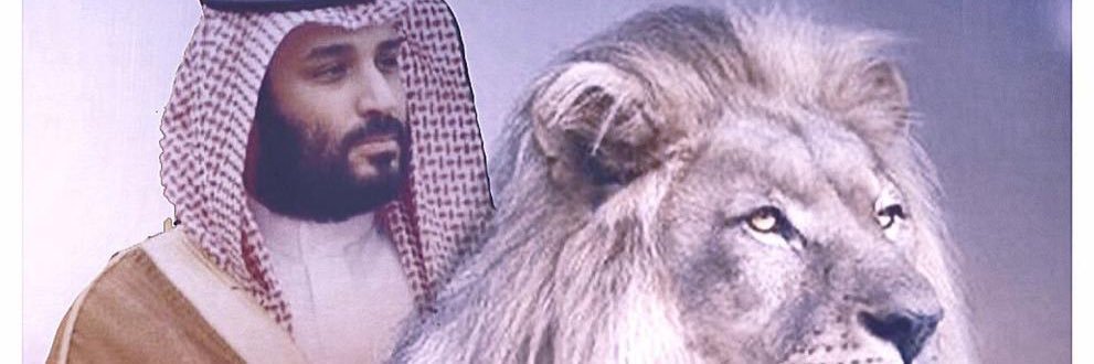 عبدالعزيز الصفيان banner