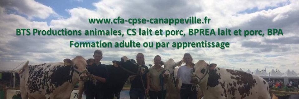 Canappeville's profile banner image