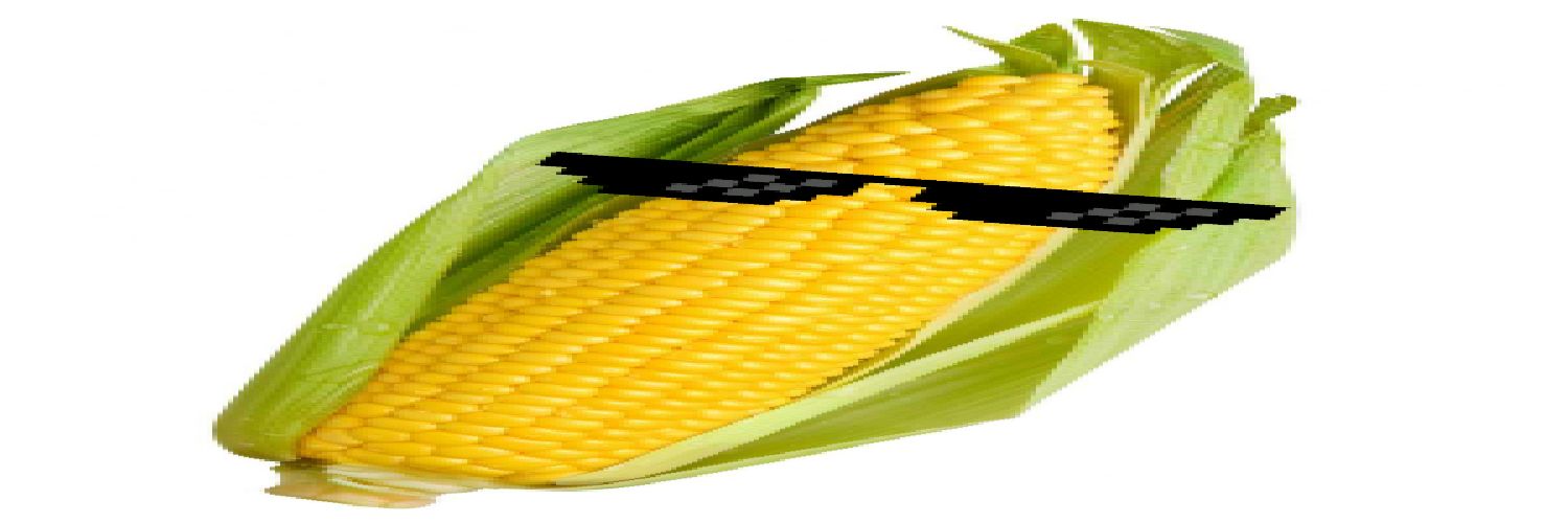 CORN banner
