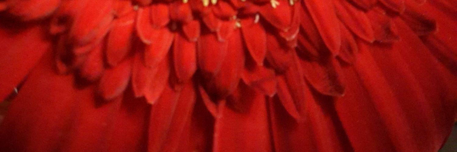 audya_md's profile banner image