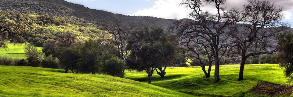 Geraldine_Bert's profile banner image