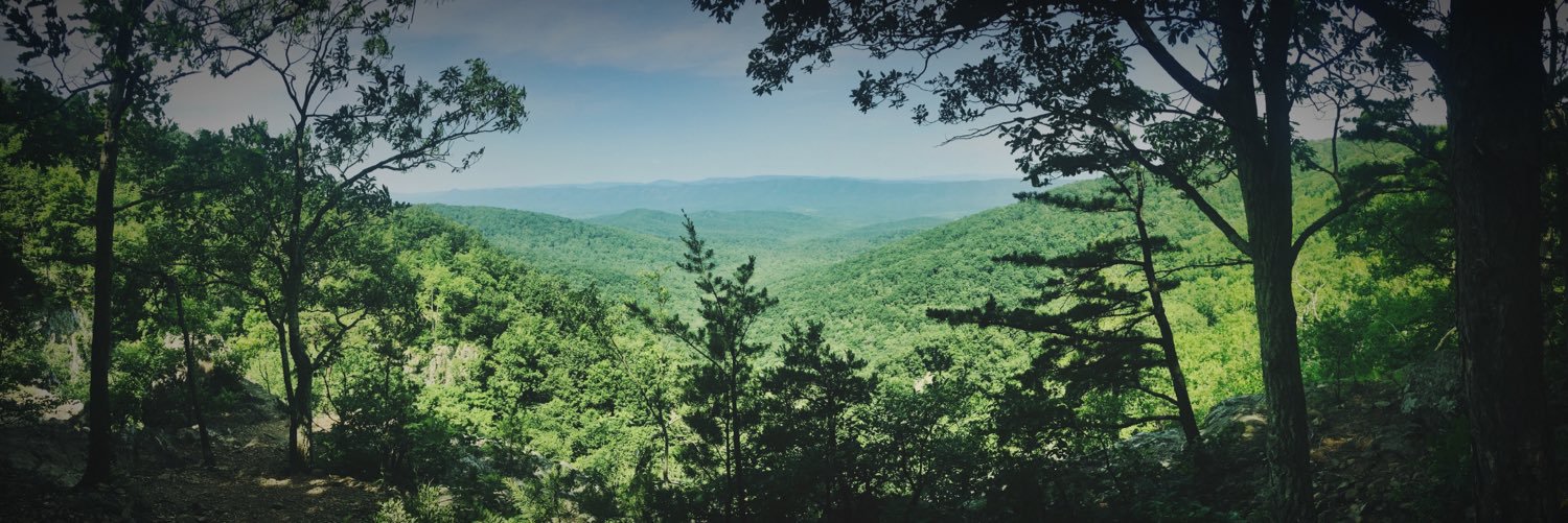 Will Lutterman banner