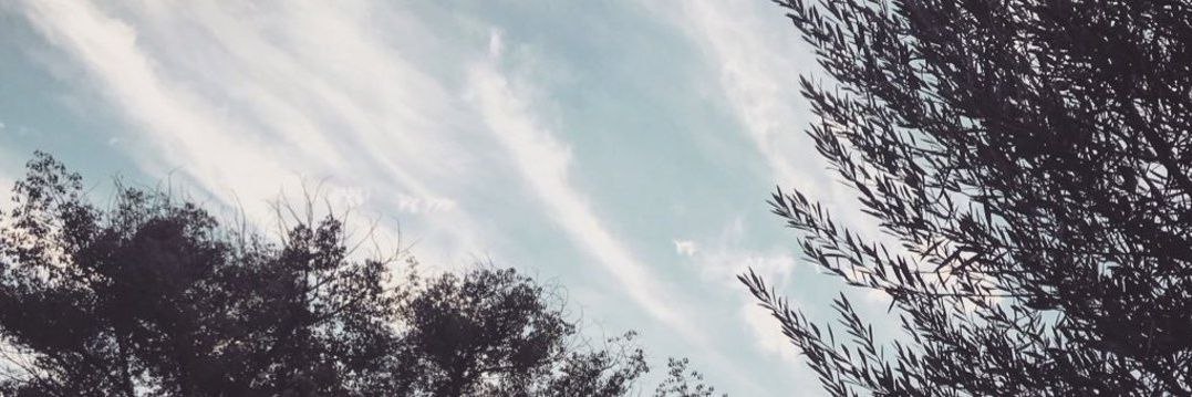 Chrystelechou's profile banner image