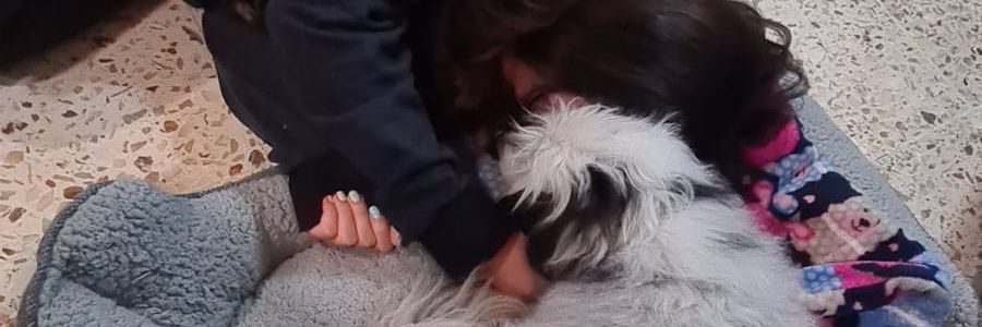 Muppet_Babyy's profile banner image