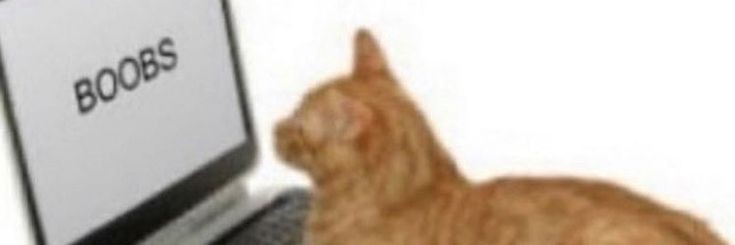 soukoku_foreva's profile banner image