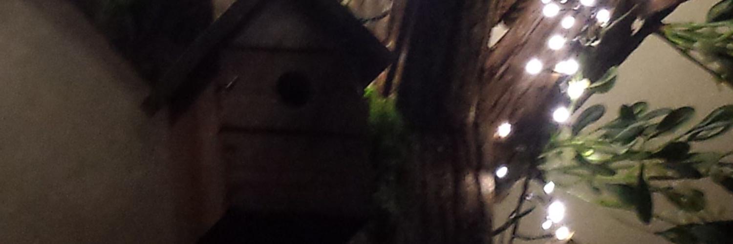 BoundaryGM's profile banner image