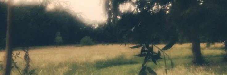 Esteb_PRIV's profile banner image