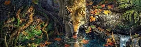 flacuchiruda Profile Banner