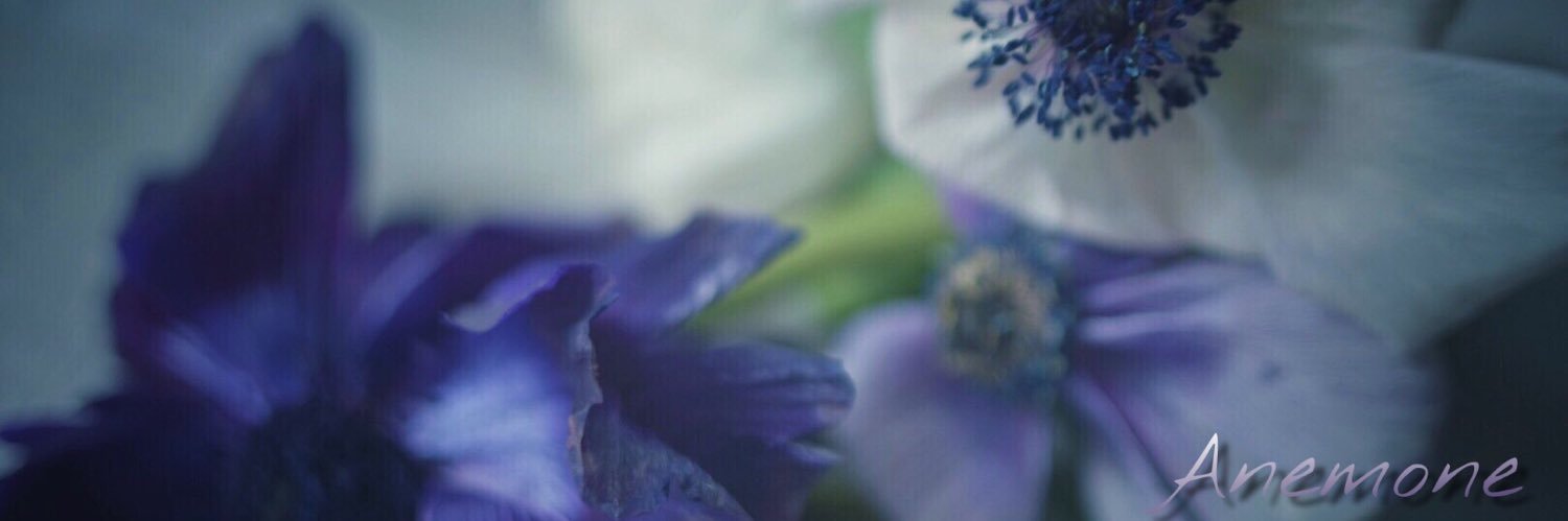 __baru_8's profile banner image