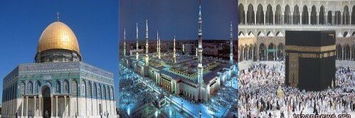 بدر الراشدي ❤️🇴🇲❤️ banner