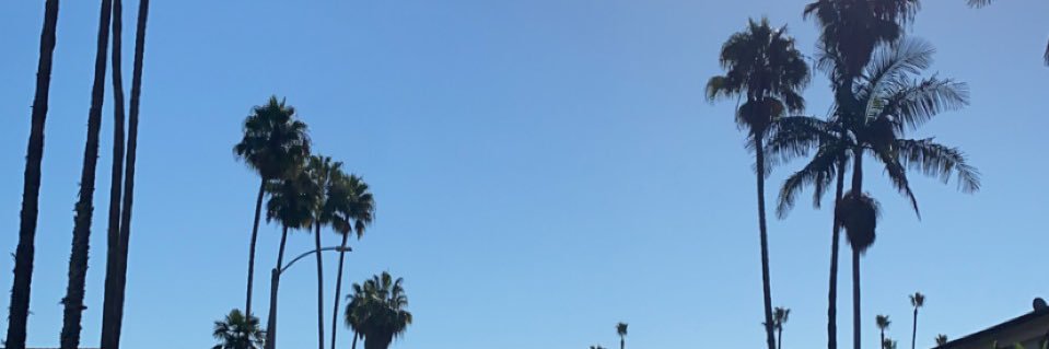 Wizzard240's profile banner image