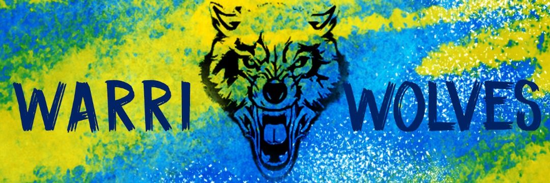 Warri Wolves FC banner