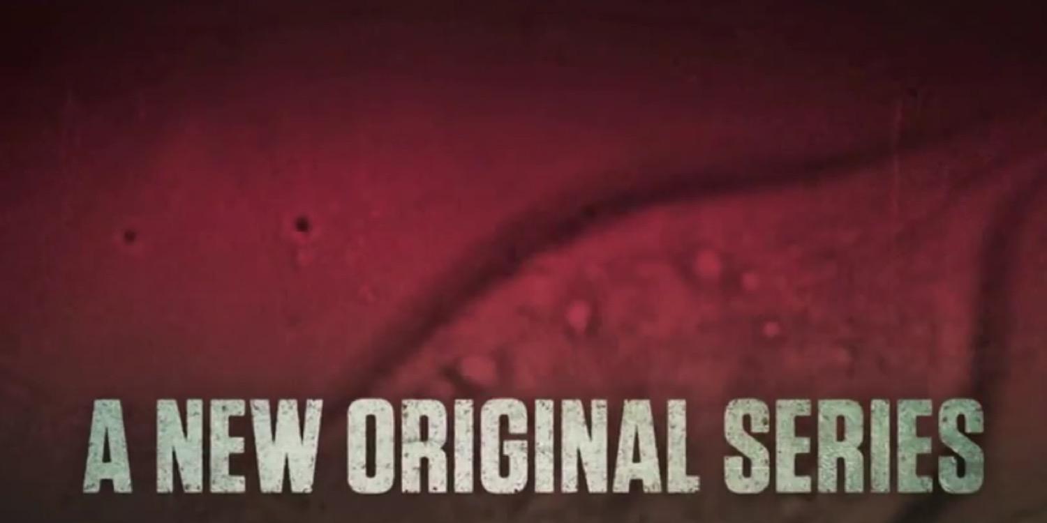 FearTWD_'s profile banner image