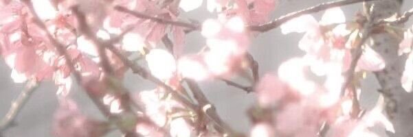 GamerLozani's profile banner image