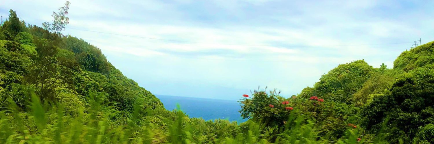 whittley95's profile banner image