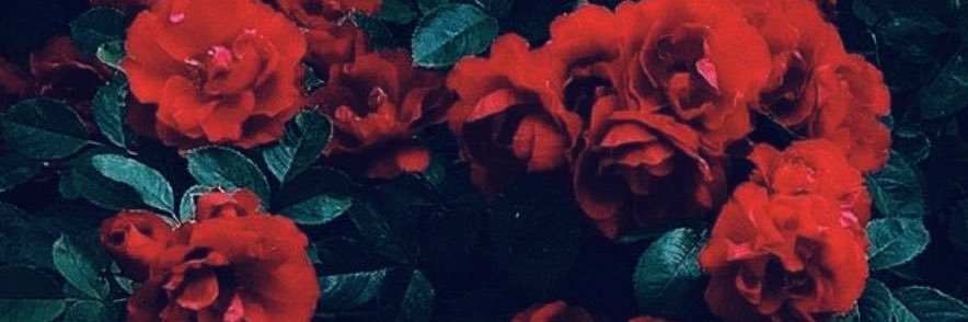ElizabethSummer's profile banner image