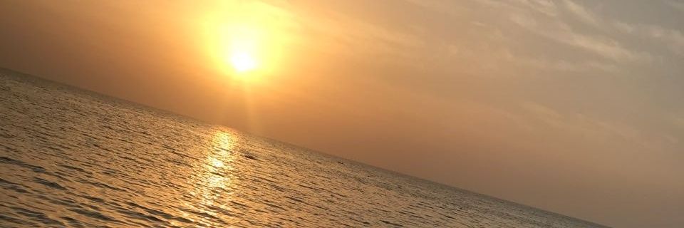 sanuor22's profile banner image