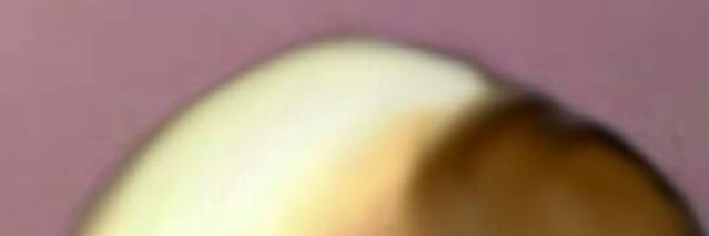 fjseikatsu's profile banner image