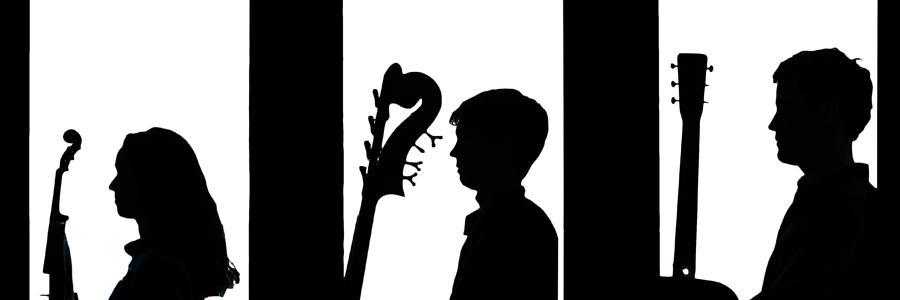 Haas Kowert Tice banner