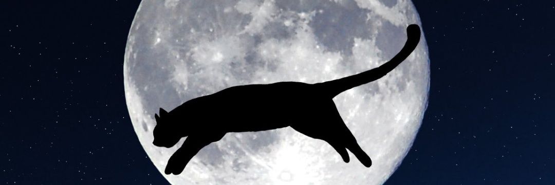OWENRIRY's profile banner image