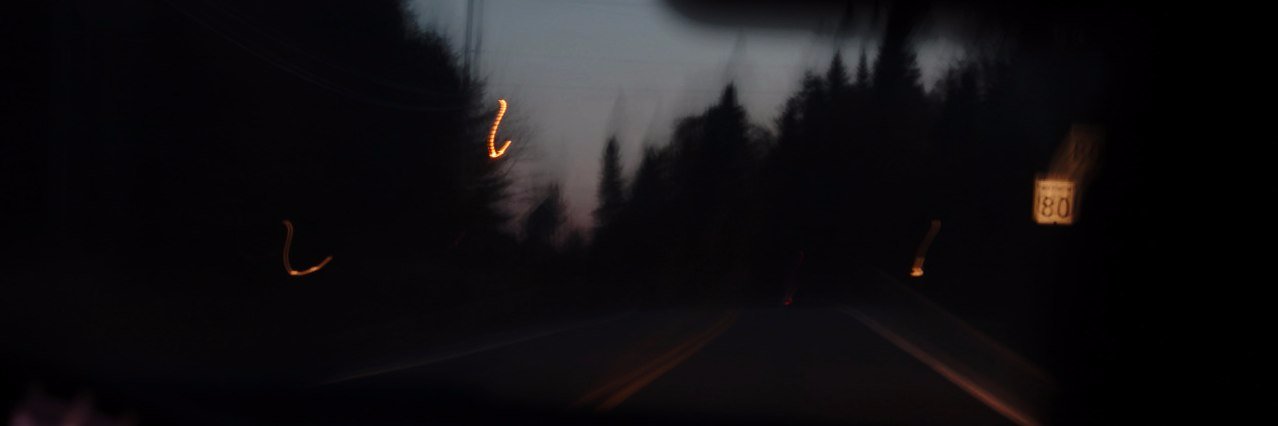 calm_racoon's profile banner image