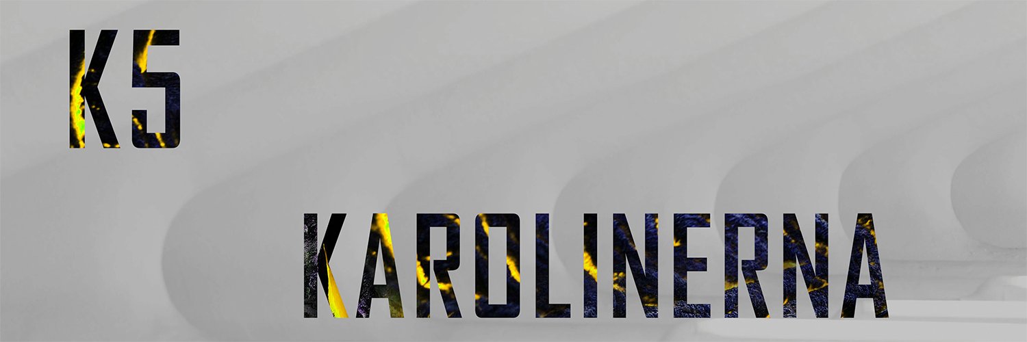 Mrs Bjergsen banner