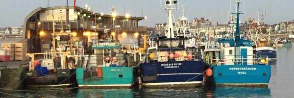 BridToday Profile Banner