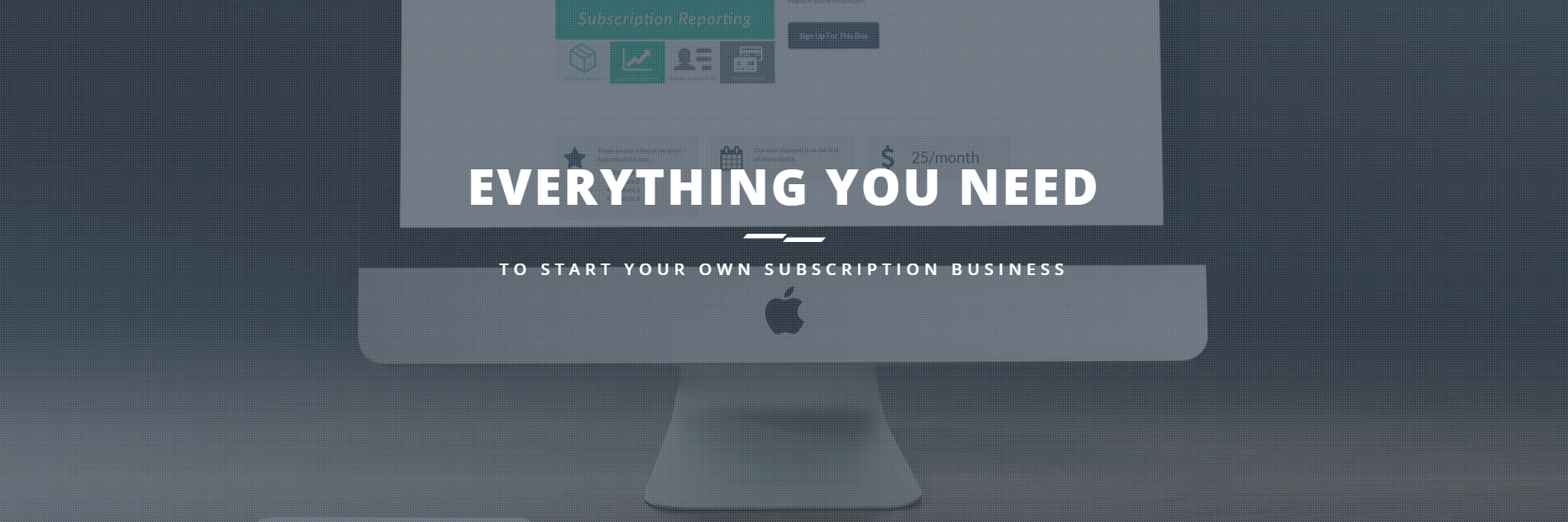 Subscription Boxer banner