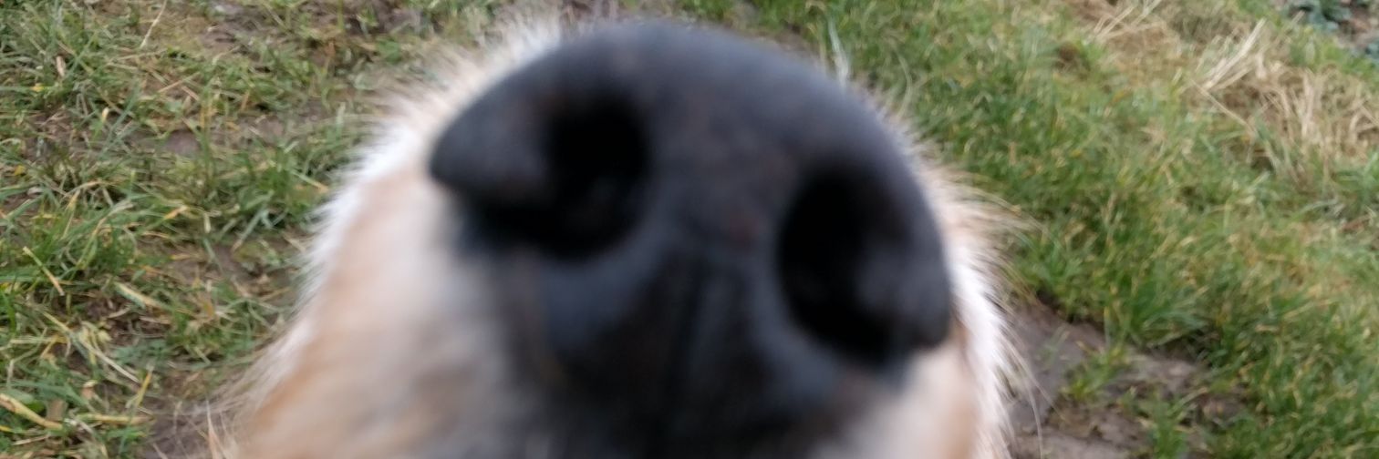 JBJazz9's profile banner image