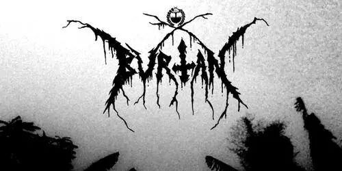 Bvrtan666's profile banner image
