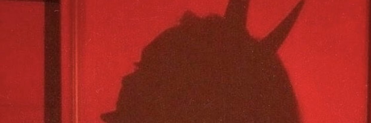Eileenoxox's profile banner image