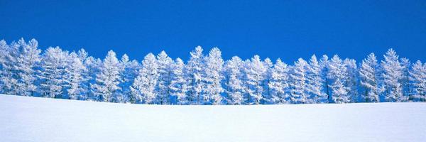 lucaferraris Profile Banner