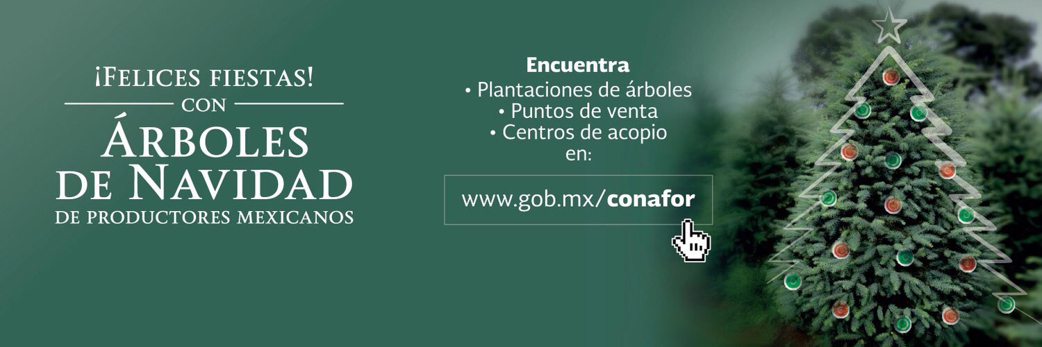 CONAFOR_Hidalgo's profile banner image