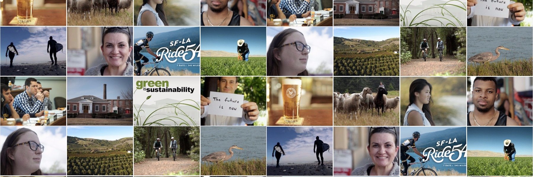 TrimTab Media banner