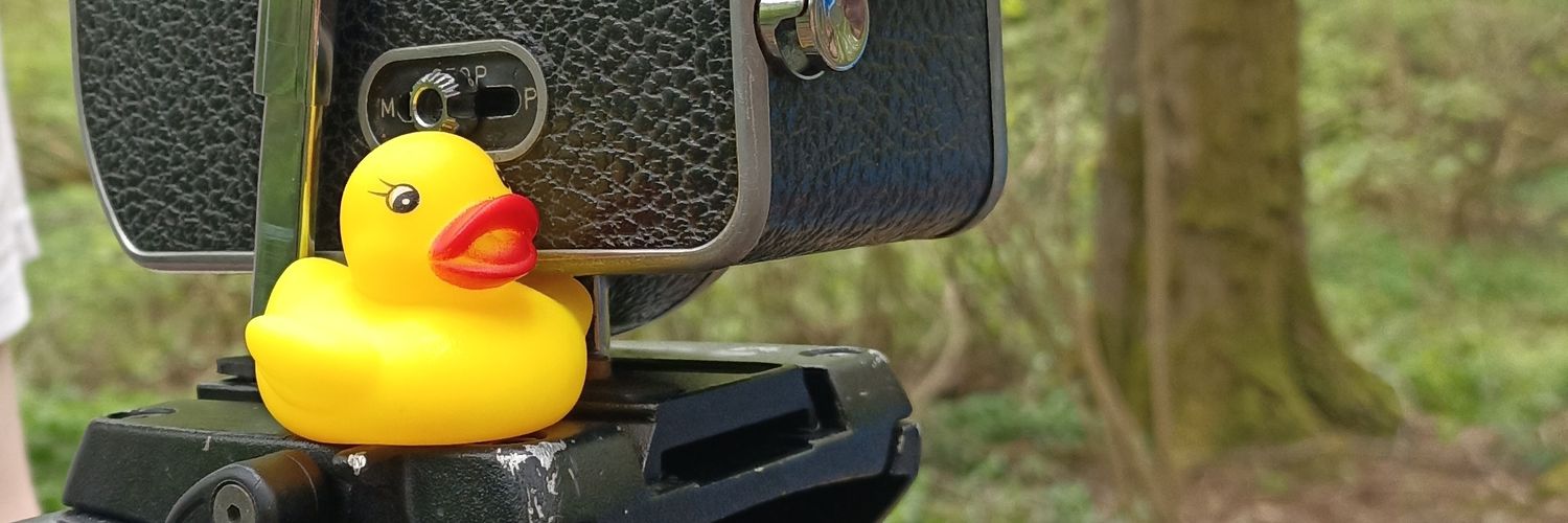 ILemonDuckI's profile banner image
