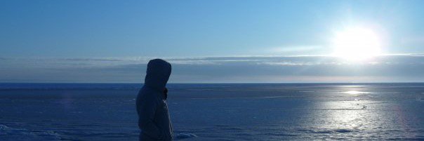 T.J. Lampoltshammer banner