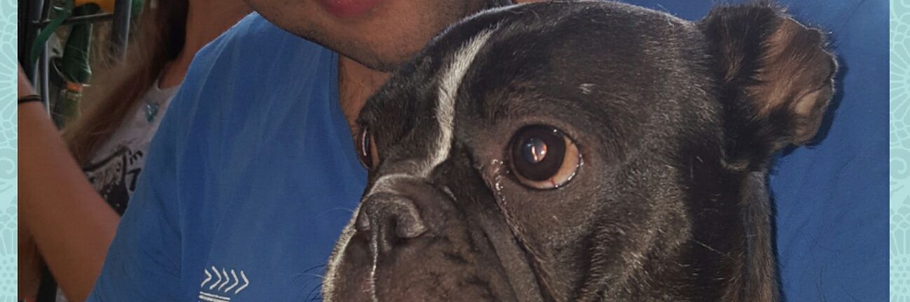 stumpeloreto's profile banner image