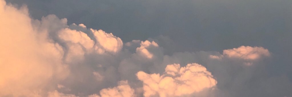 parisaborgh's profile banner image