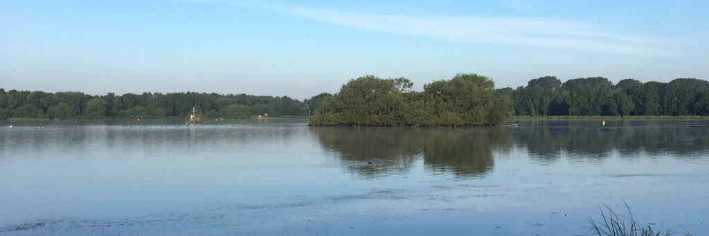 Steve Richards banner