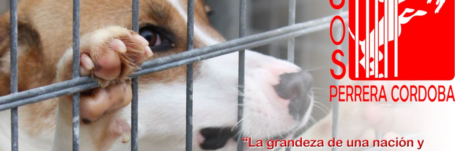 SOS Perrera Córdoba banner